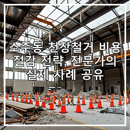 소주동 천장철거 비용 절감 전략, 전문가의 실제 사례 공유